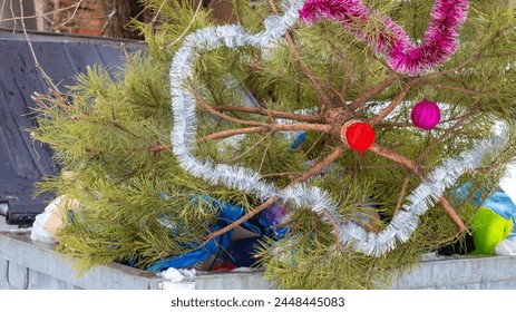 Cut down live Christmas tree bleeds in garbage dump after New Year holidays. Save forests, pine-trees. Save planet. Deforestation accelerates global warming and climate changes. Ecology responsibility