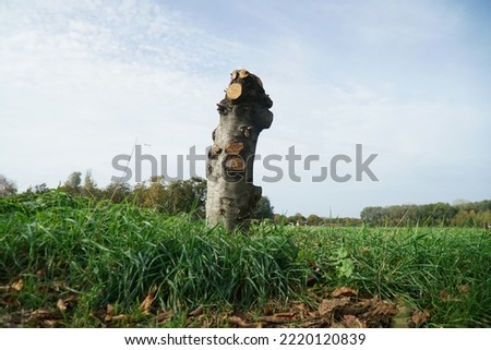 Similar – Image, Stock Photo Frog perspective | down at the TV tower