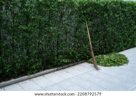 Similar – Image, Stock Photo Holzpaddel lehnt, halb von der Trauerweide bedeckt, an der sonnenwarmen Steinmauer.