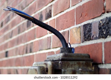 cut electrical cables
