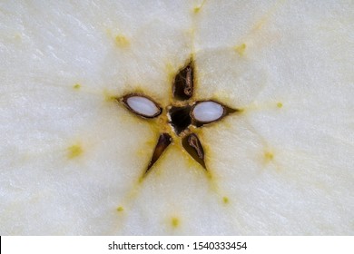 Cut Fresh Apple In Half, Slice. Apple Center Core And Seed On Background, Close Up, Top View. Concept Of Healthy Eating