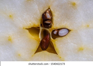 Cut Fresh Apple In Half, Slice. Apple Center Core And Seed On Background, Close Up, Top View. Concept Of Healthy Eating