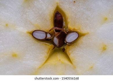 Cut Fresh Apple In Half, Slice. Apple Center Core And Seed On Background, Close Up, Top View. Concept Of Healthy Eating