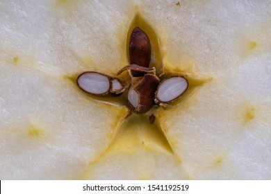 Cut Fresh Apple In Half, Slice. Apple Center Core And Seed On Background, Close Up, Top View. Concept Of Healthy Eating