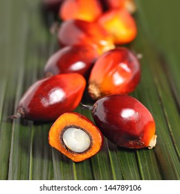 Cut fresh oil palm fruits on the leaves background