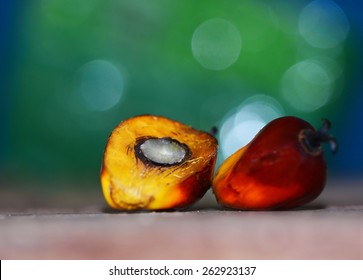 Cut fresh oil palm fruits.