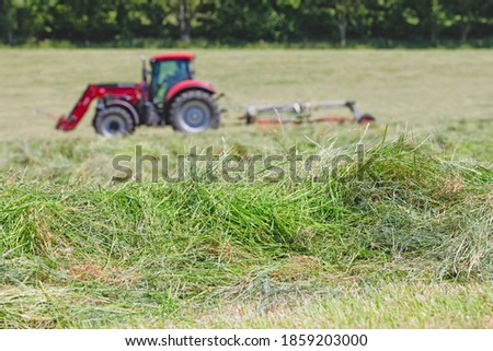 Similar – Image, Stock Photo Dry grasses in autumn. Brown colours and sad mood.