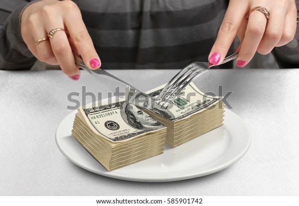 Cut money on plate,\
cut budget concept