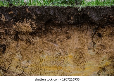 Cut of natural soil with different layaers. Grass, chernozem soil and clay ground wall after working excavator. - Shutterstock ID 1907216935