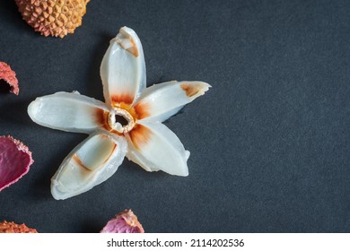 Cut Open Fresh Lychee Fruit Slide Pan