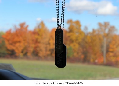 Cut Out Of Dog Tags In The Car
