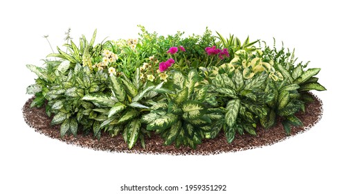 Cut out flowerbed. Plants and flowers isolated on white background. Flower bed for garden design or landscaping. High quality image for professional composition.
