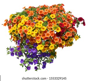 Cut Out Flowers. Blue Flowers Isolated On White Background. Hanging Flowers Basket. Flower Bed For Garden Design Or Landscaping. High Quality Clipping Mask.