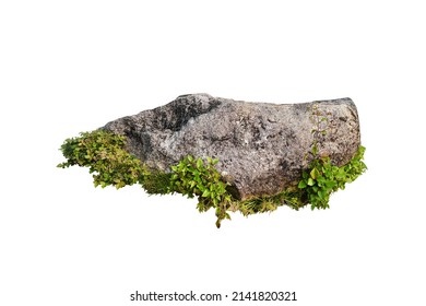 Cut out a large stone with green grass for outdoor garden decoration isolated on white background.