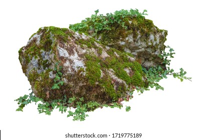 Cut out mossy rocks. Ancient boulder with moss isolated on white background. Large stone covered by ivy.