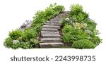 Cut out stairs made of large stone steps. Staircase lined with green plants for landscaping or garden design. Rock steps isolated on white background.