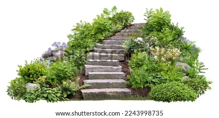 Cut out stairs made of large stone steps. Staircase lined with green plants for landscaping or garden design. Rock steps isolated on white background.