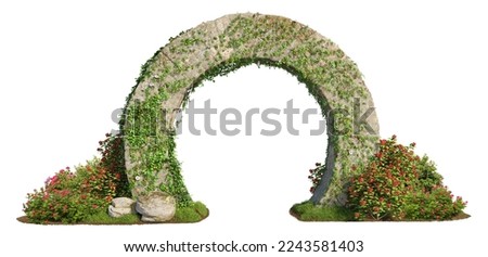 Cut out stone arch covered with ivy. Entrance gate isolated on white background. Stone archway for landscaping or garden design.