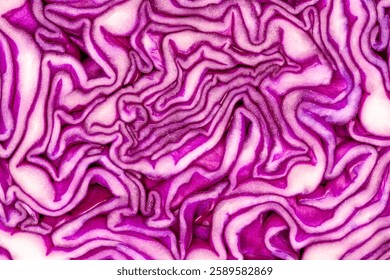 cut red cabbage close-up view, inside. Layers of the cabbage are clearly visible, intricate pattern of curves, shapes and folds in shades of purple and white. Organic textured abstract background