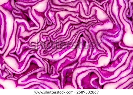 cut red cabbage close-up view, inside. Layers of the cabbage are clearly visible, intricate pattern of curves, shapes and folds in shades of purple and white. Organic textured abstract background