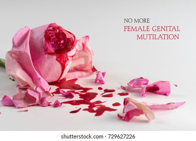 cut rose blossom, blood and petals on a bright gray background with text No More Female Genital Mutilation,  concept for the international day of zero tolerance for FGM on 6 february