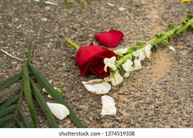 Cut Roses Lie Discarded In The Grass.