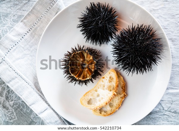 Cut Sea Urchins Laid Shell On Stock Photo Edit Now 542210734