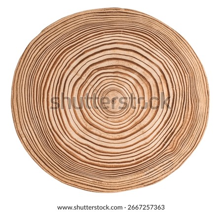 Cut, slice, section of larch tree wood isolated on a white background.  Macro shot of a cut larch tree with annual rings. Stump, trunk of an old tree.