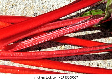 Cut Swiss Chard Stalks (Bright Lights Variety).