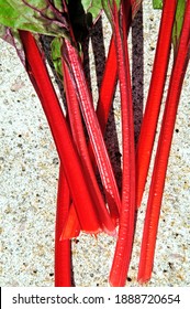 Cut Swiss Chard Stalks (Bright Lights).