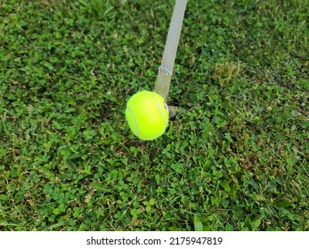 A Cut Tennis Ball That Has Been Placed On A Stake For A Tent For Safety Reasons.