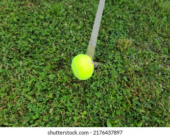 A Cut Tennis Ball That Has Been Placed On A Stake For A Tent For Safety Reasons.