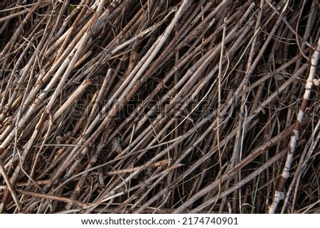 Cut thin branches of a tree stacked in a pile. The brushwood lying on the ground. Scattered thin dry branches.  Background of tree branches. A pile of old dead wood.
