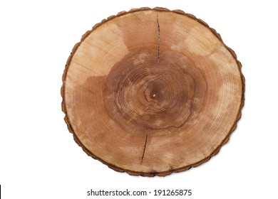 Cut Tree Growth Ring