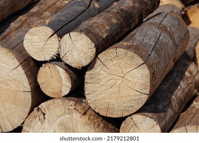 cut wood logs on a pile