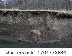 Cutbank / cut bank - erosion of the soil and land around the river. Steep clifff and scarp with cluster of grass. Gloomy and lifeless winter weather.