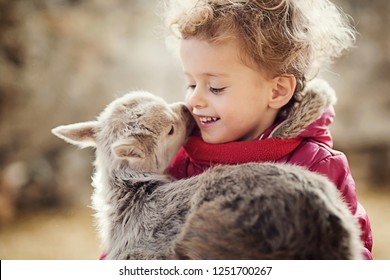 Cute 3 Year Old Girl Holding Kid Goat In Arms. Winter In Barn.