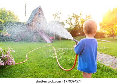 Cute adorable caucasian blond toddler boy enjoy having fun watering garden flower and lawn with hosepipe sprinkler at home backyard at sunny day. Child little helper learn gardening at summer outdoor