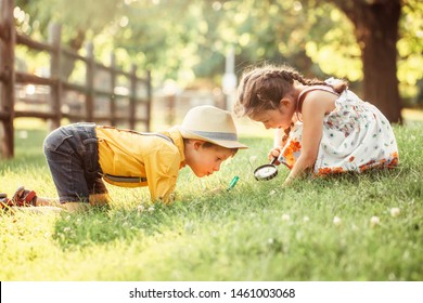 Cute adorable Caucasian girl and boy looking at plants grass in park through magnifying glass. Children friends siblings with loupe studying learning nature outside. Child education concept. - Shutterstock ID 1461003068