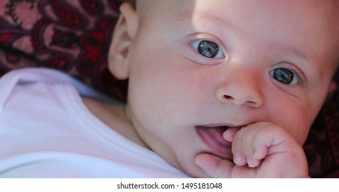 
Cute Adorable Newborn Baby Infant Looking To Camera Chewing Hand Awake