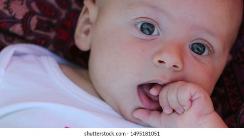 Cute Adorable Newborn Baby Infant Looking To Camera Chewing Hand Awake