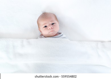 Cute adorable newborn baby in white bed and wrapped in blanket. New born child, little girl looking surprised at the camera. Family, new life, childhood, beginning concept.