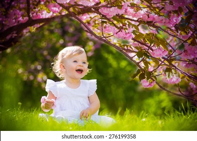 Cute Adorable Nice Baby Girl In White Spring Dress Smiling Sitting Under Sakura Tree