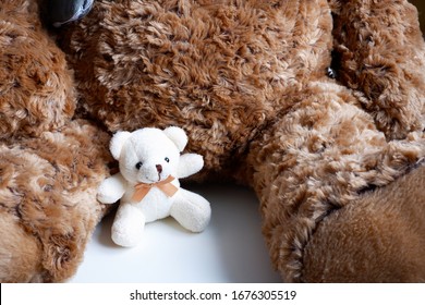 Cute Albino Toy Bear Sitting At The Feet Of His Mother