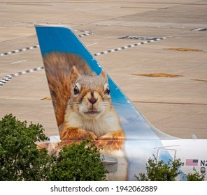 Cute Animal Paintings Of Frontier Airlines Livery