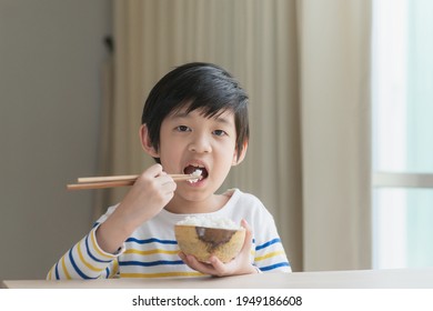 Cute Asian Boy Eating Rice Chopsticks Stock Photo 1949186608 | Shutterstock