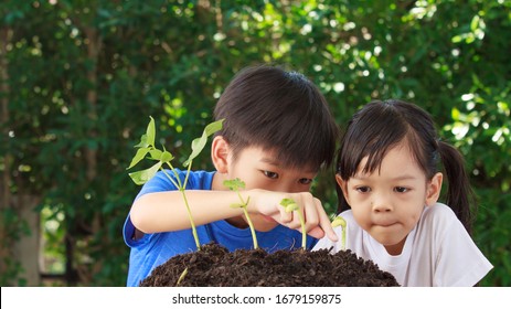Cute Asian boys and girls That has a heart to love the world Helping each other to plant trees from black soil In order to hope for the world to be green and fresh air to breathe, Earth day concept