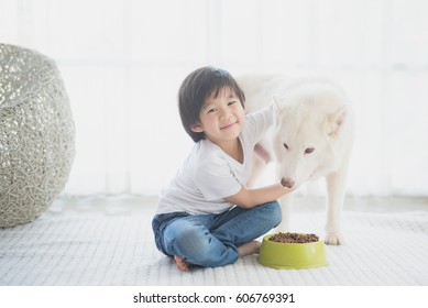 Cute Asian Child Feeding Siberian Husky Dog At Home