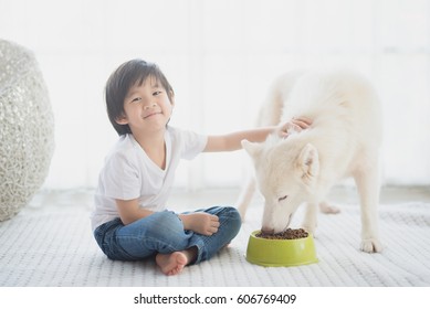 Cute Asian Child Feeding Siberian Husky Dog At Home