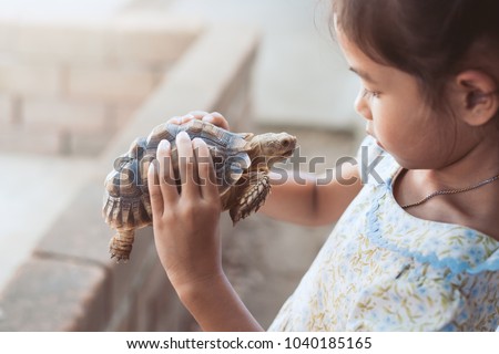 Cute asian child girl holding and playing with turtle with curious and fun. She is not scared to hold it on hand.